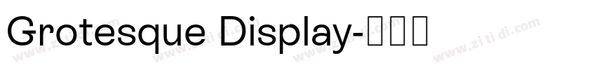 Grotesque Display字体转换